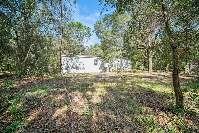 a view of yard with tree