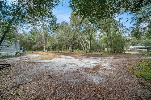 a view of outdoor space with trees