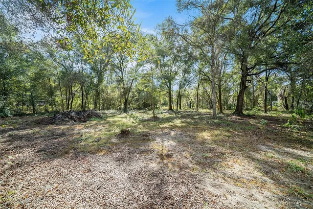 a view of outdoor space with trees