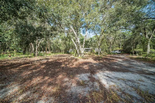 a view of outdoor space with trees
