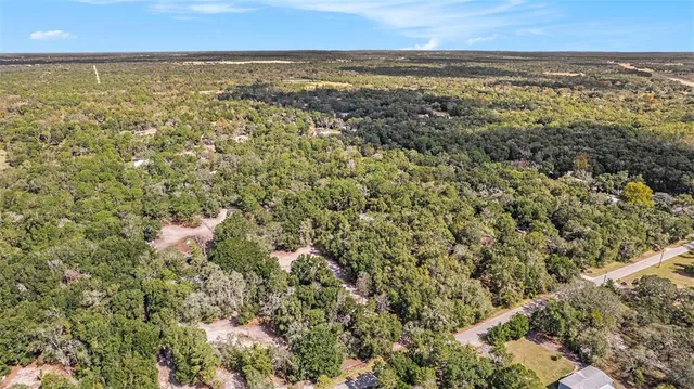 an aerial view of residential houses with outdoor space and trees