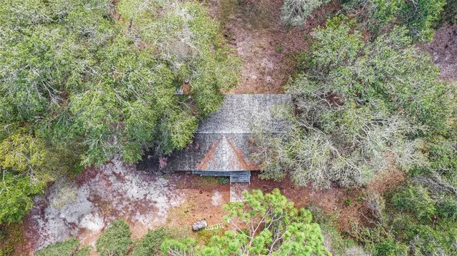 a view of a yard with plants and a bench with wooden fence