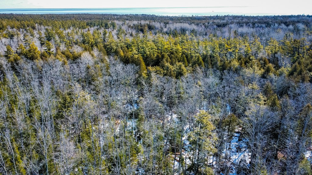 County Road Baileys Harbor, WI 54202 - Photo 3 of 11