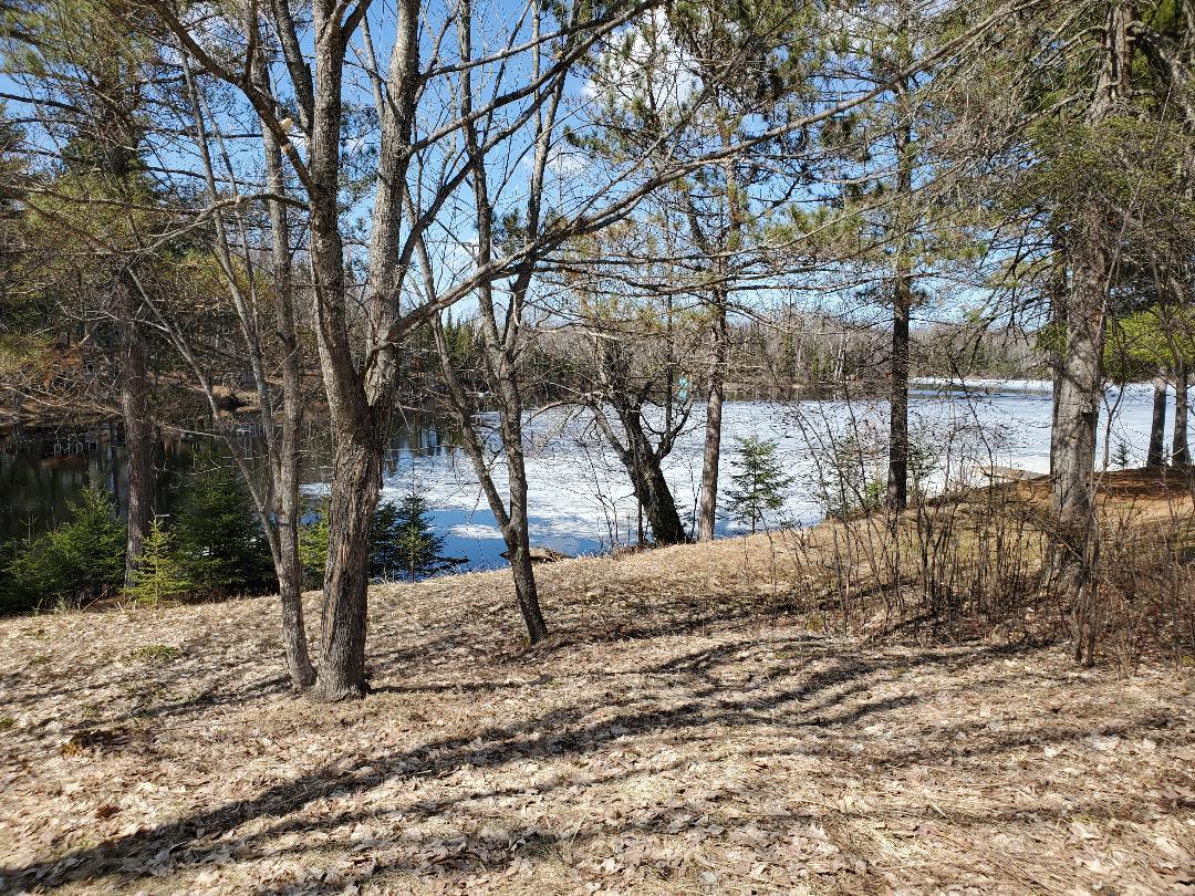 Lot 2 West Elmers Road Mercer, WI 54547 - Photo 5 of 6 Gallery Image 5