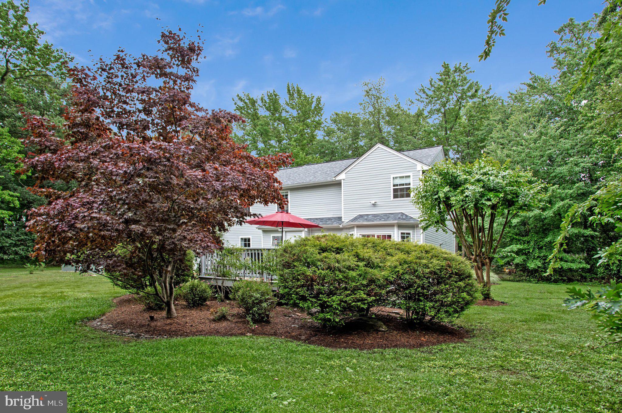 1582 Snug Harbor Road Shady Side, MD 20764 - Photo 6 of 53 Serene backyard oasis with lush greenery.