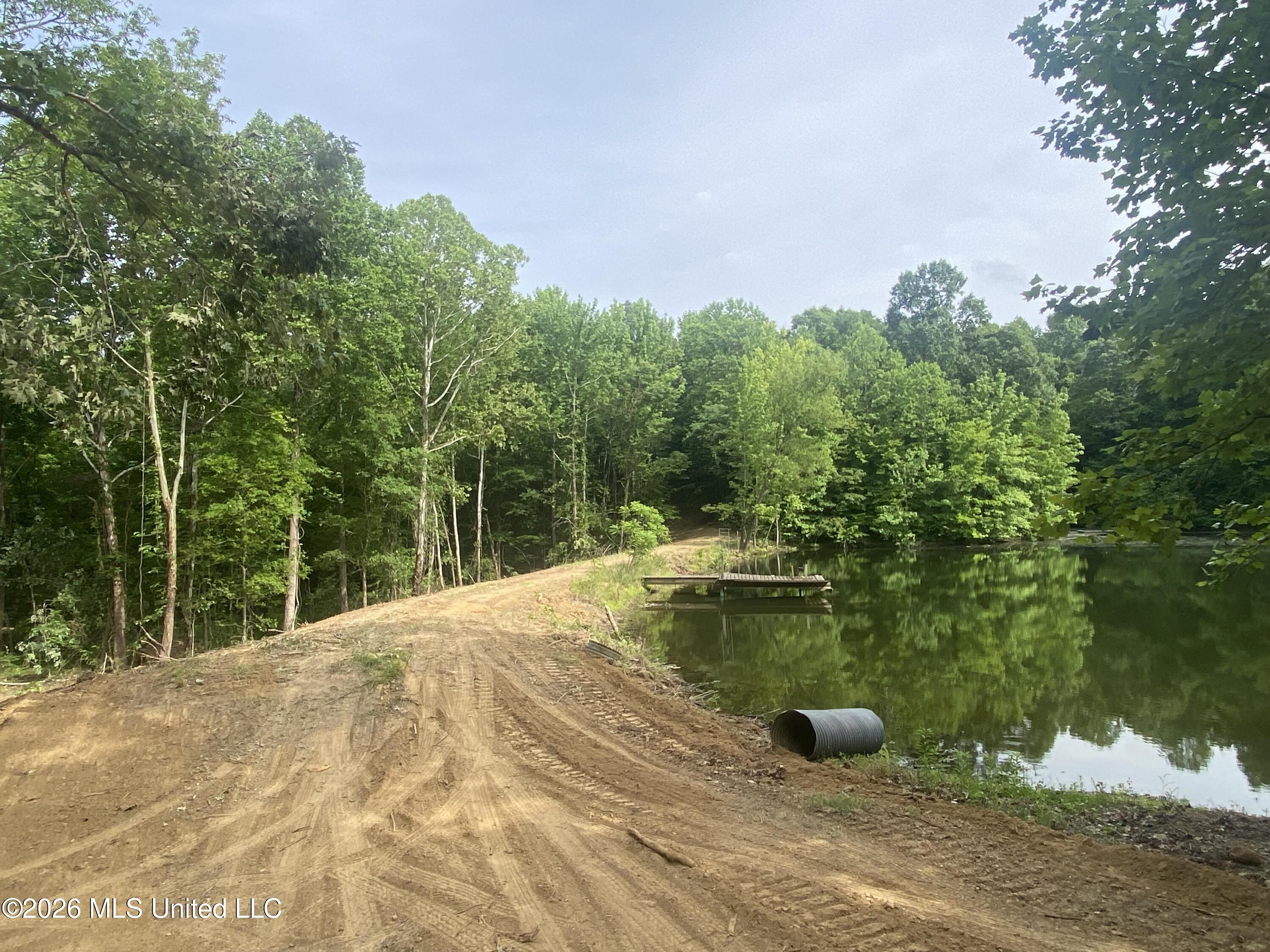 5317 Highway 3 Sarah, MS 38665 - Photo 25 of 28 IMG_7913