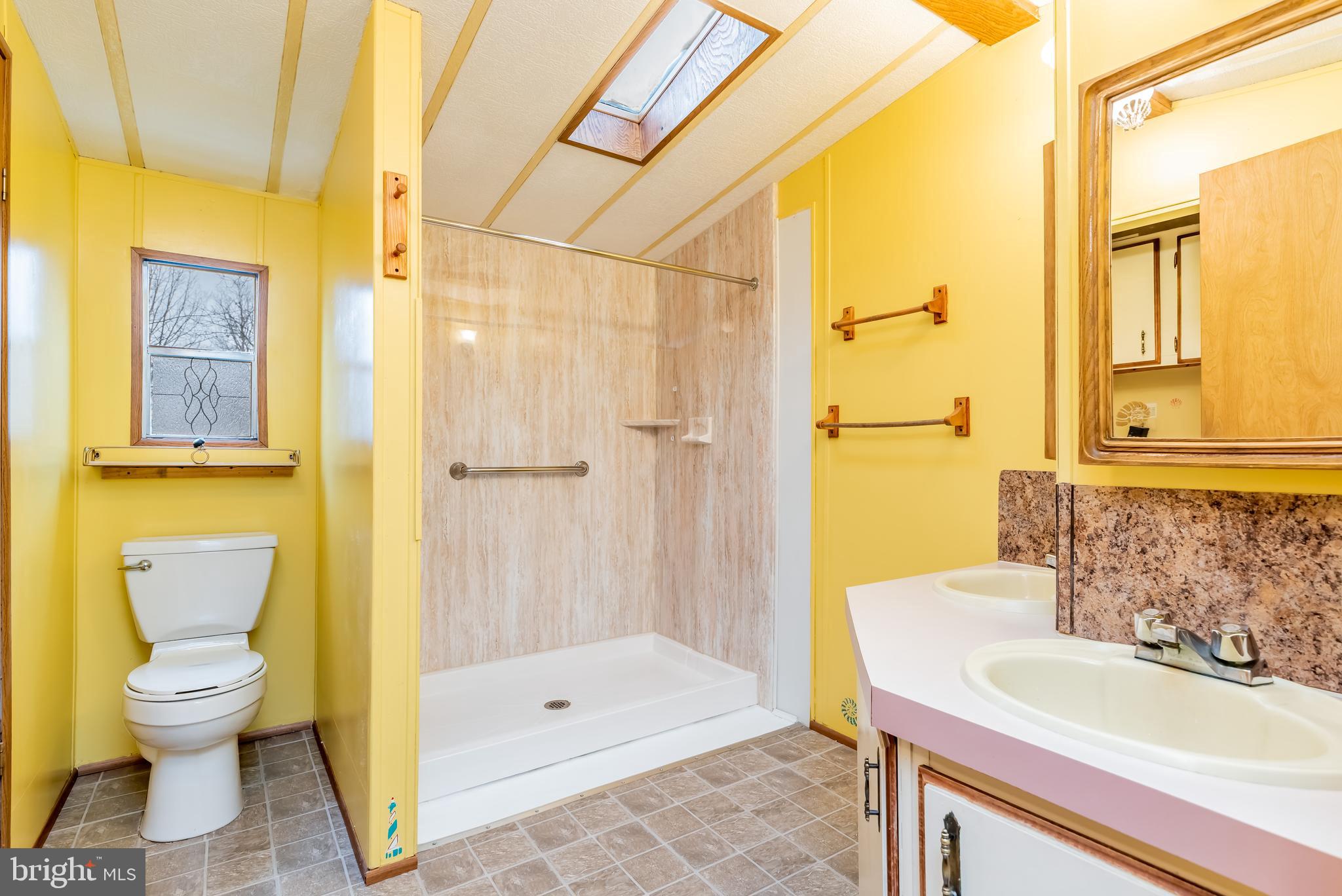 41 Pine Road Newville, PA 17241 - Photo 16 of 24 Upgraded walk-in shower, skylight, & double vanity