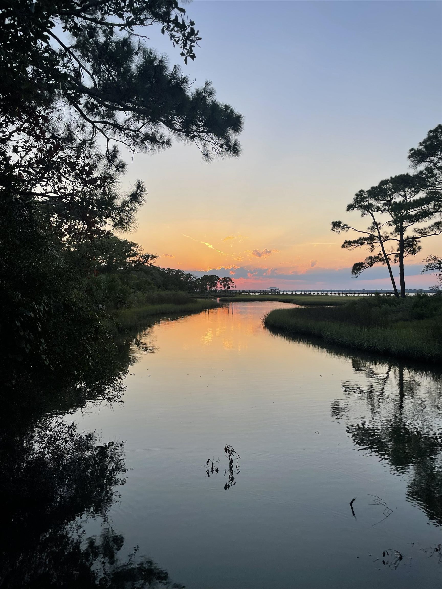 23 Tom Roberts Road Alligator Point, FL 32346 - Photo 4 of 9