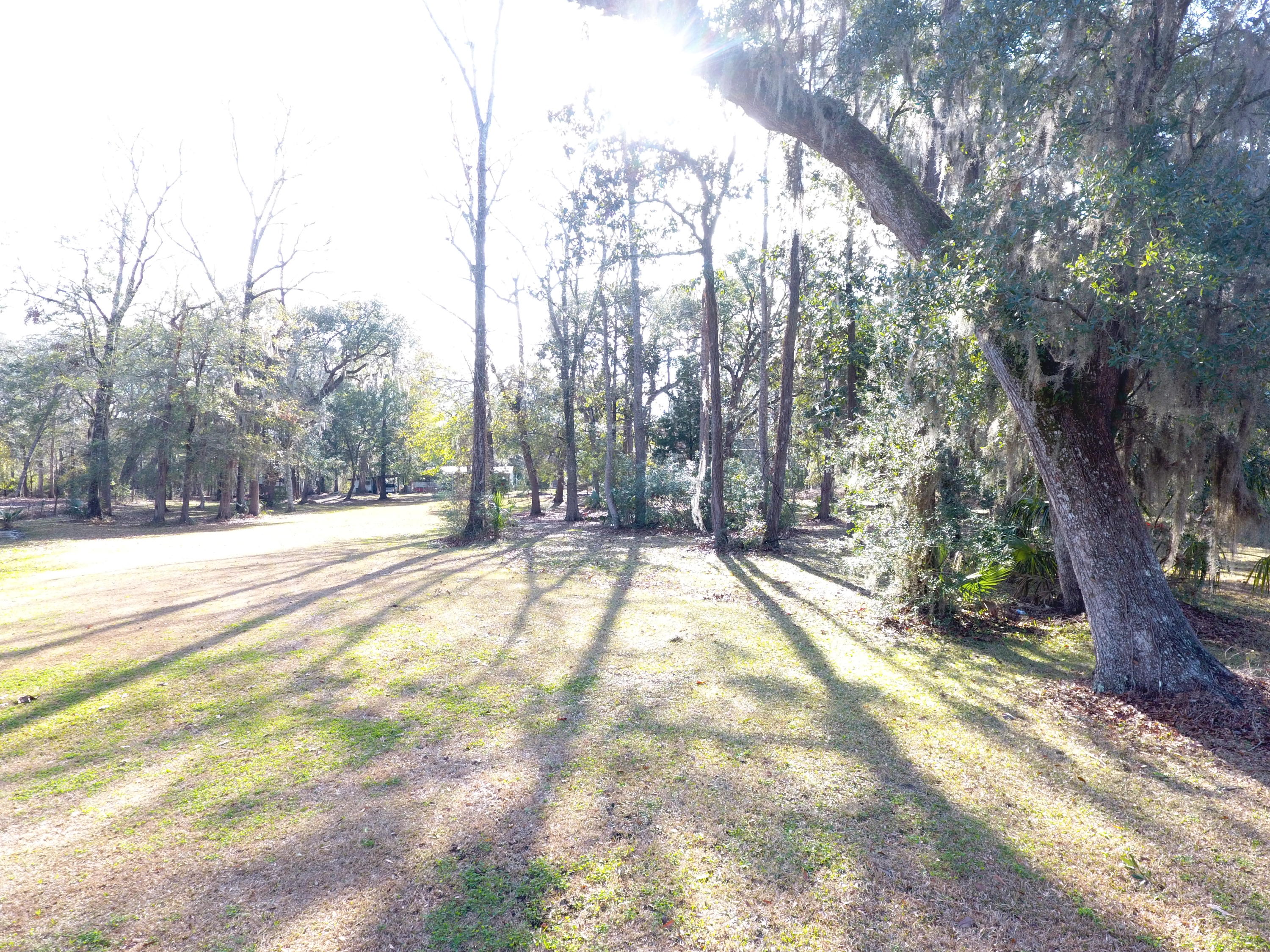 5146 New Ext Road Hollywood, SC 29449 - Photo 3 of 15 5146 New Road Ext 027