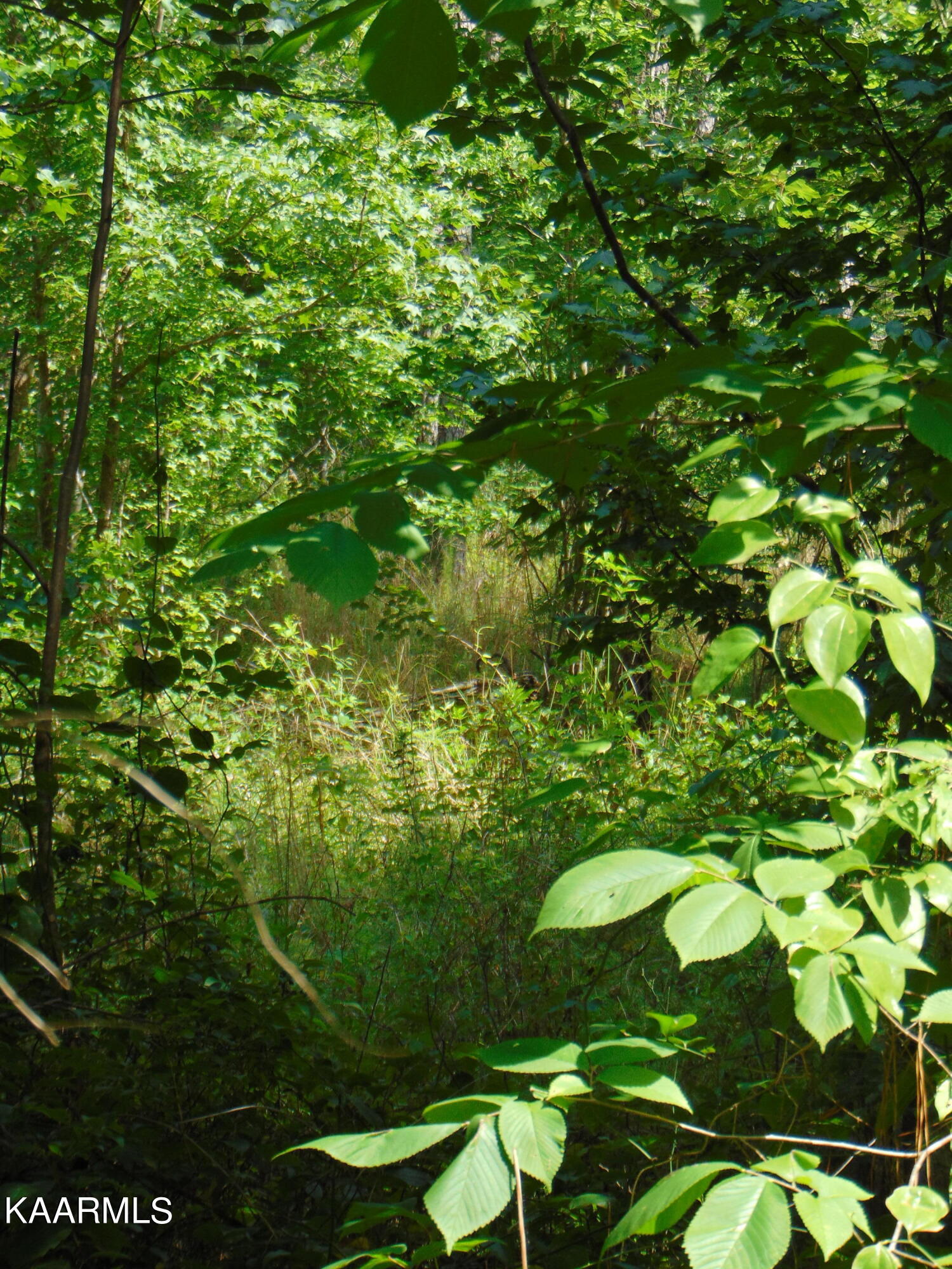 2 B Chattem Road Decatur, TN 37322 - Photo 2 of 6 TR 2B Chattem 2