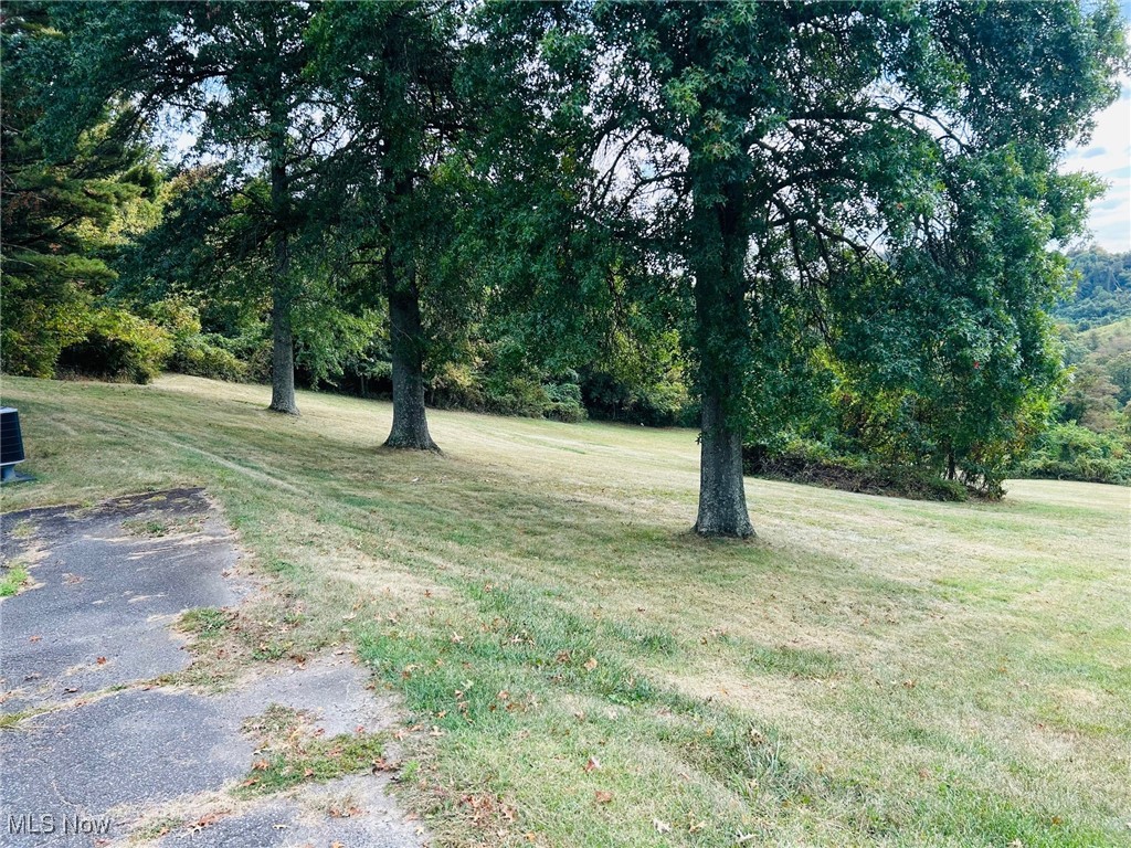 70540 Colerain Road Bridgeport, OH 43912 - Photo 25 of 30