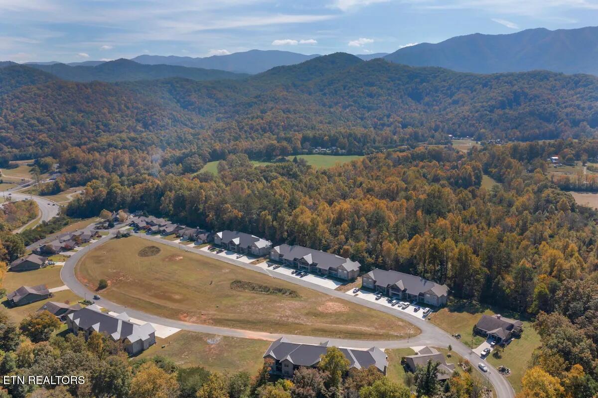 326 Shooting Star Loop, Unit 202 Townsend, TN 37882 - Photo 30 of 43 Photo 30
