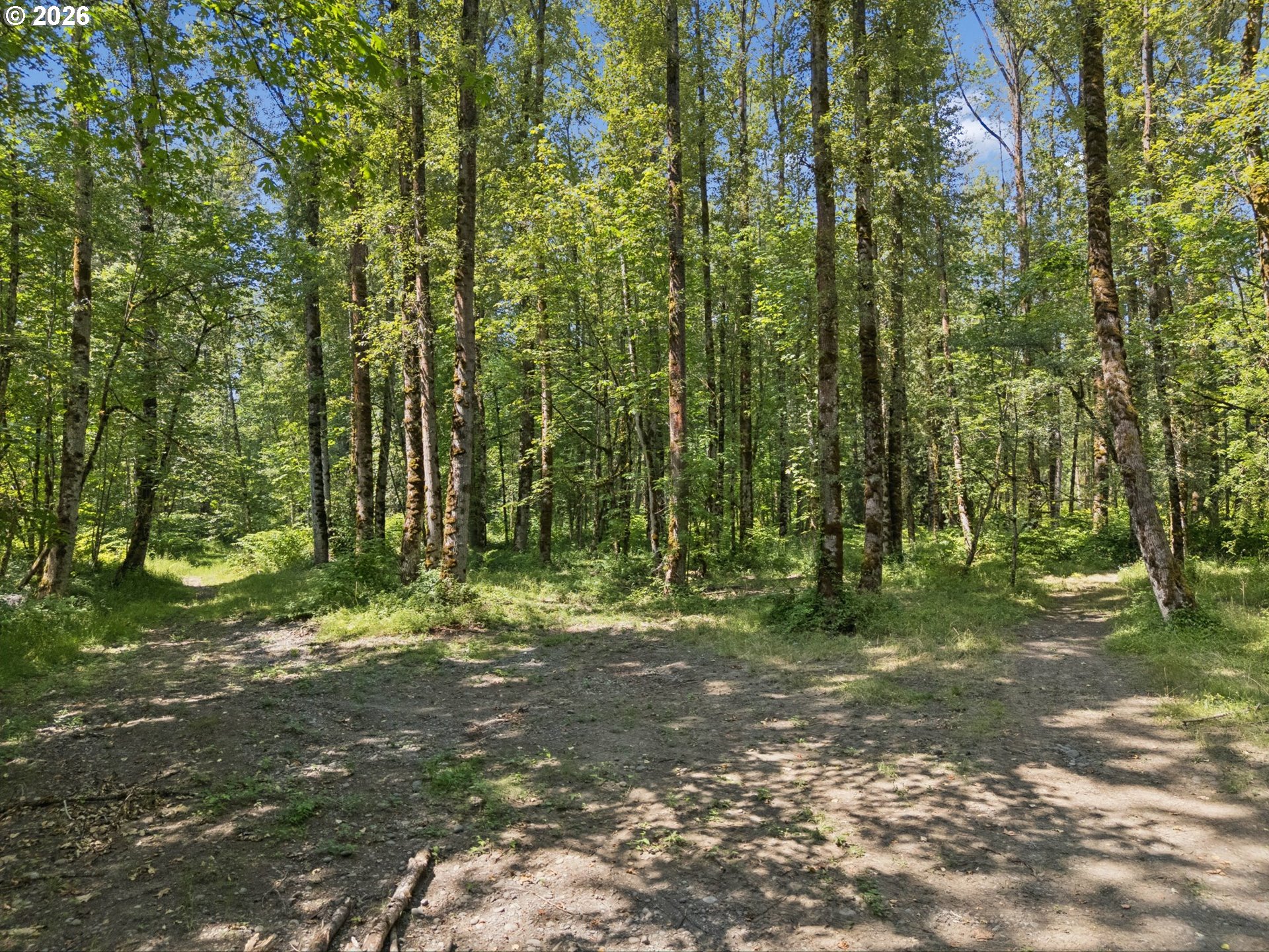 15003 South Macksburg Road Molalla, OR 97038 - Photo 44 of 48 Gallery Image 44
