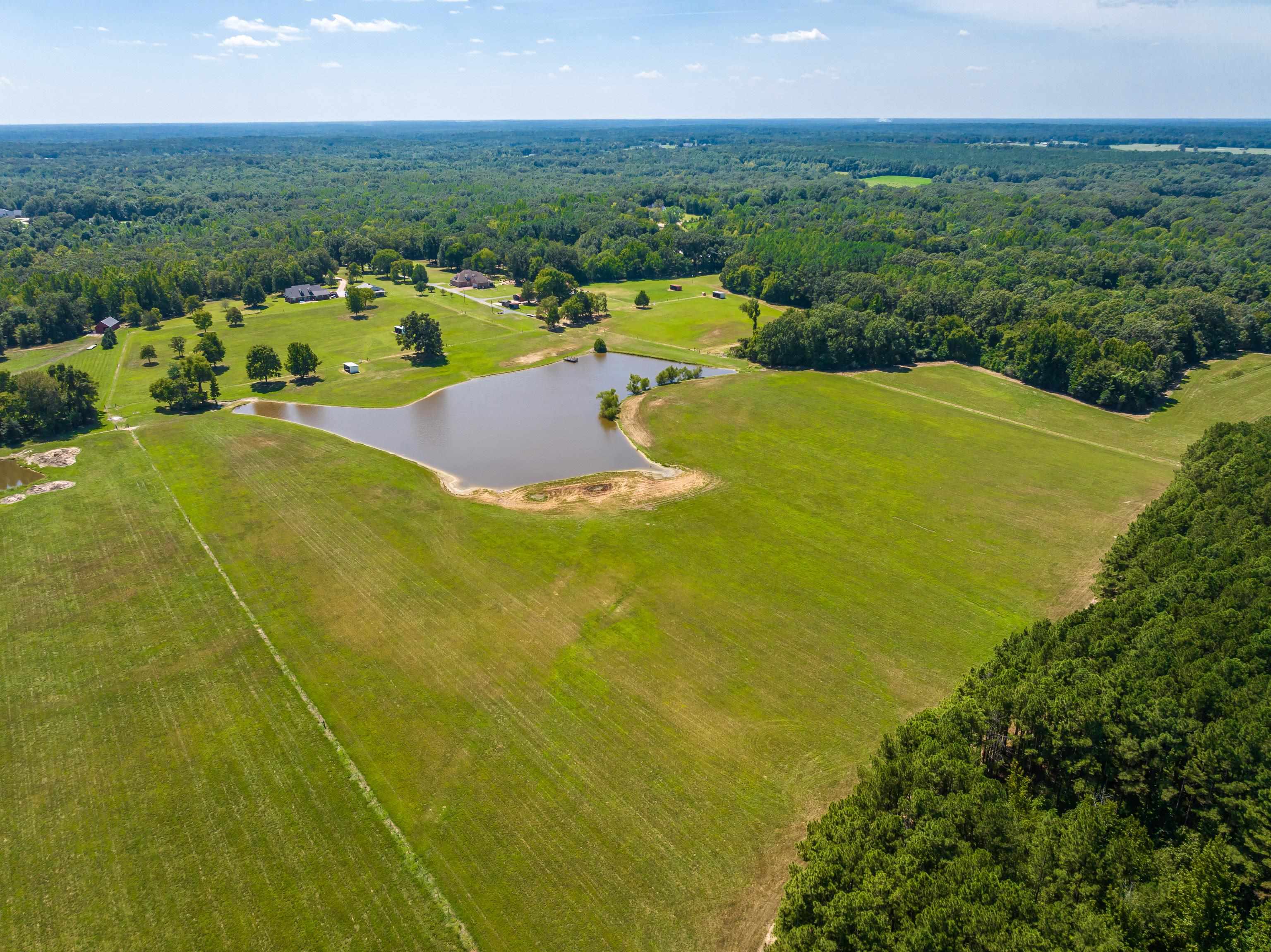 2865 Bobbitt Road Williston, TN 38076 - Photo 4 of 40 Gallery Image 4
