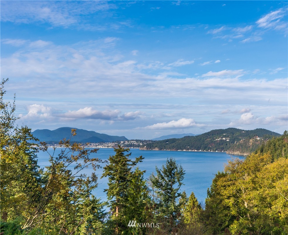 3859 Biz Point Road Anacortes, WA 98221 - Photo 1 of 25 Gallery Image 1