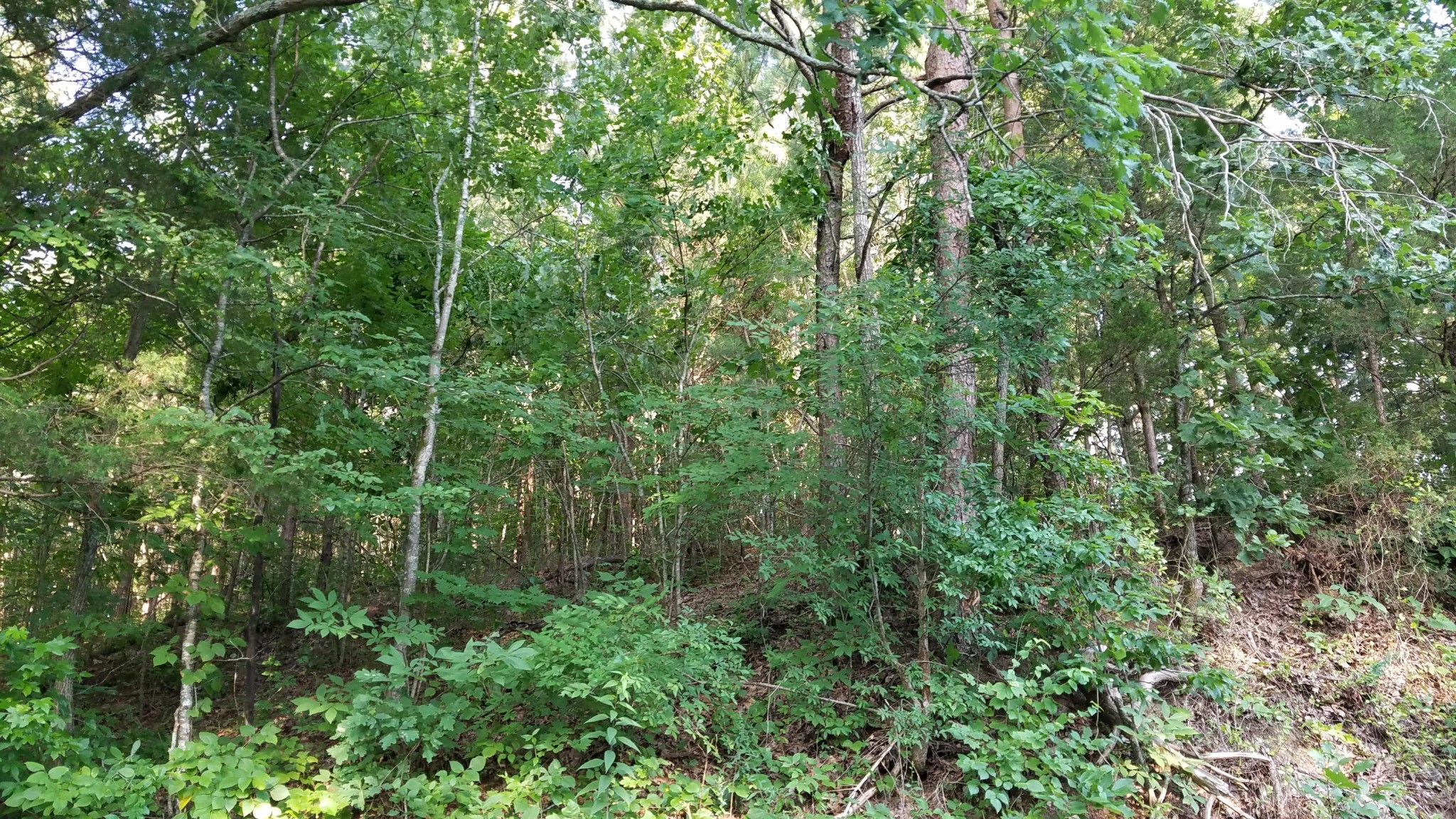 8 Northwest Old Freewill Road Cleveland, TN 37312 - Photo 3 of 10 Gallery Image 3