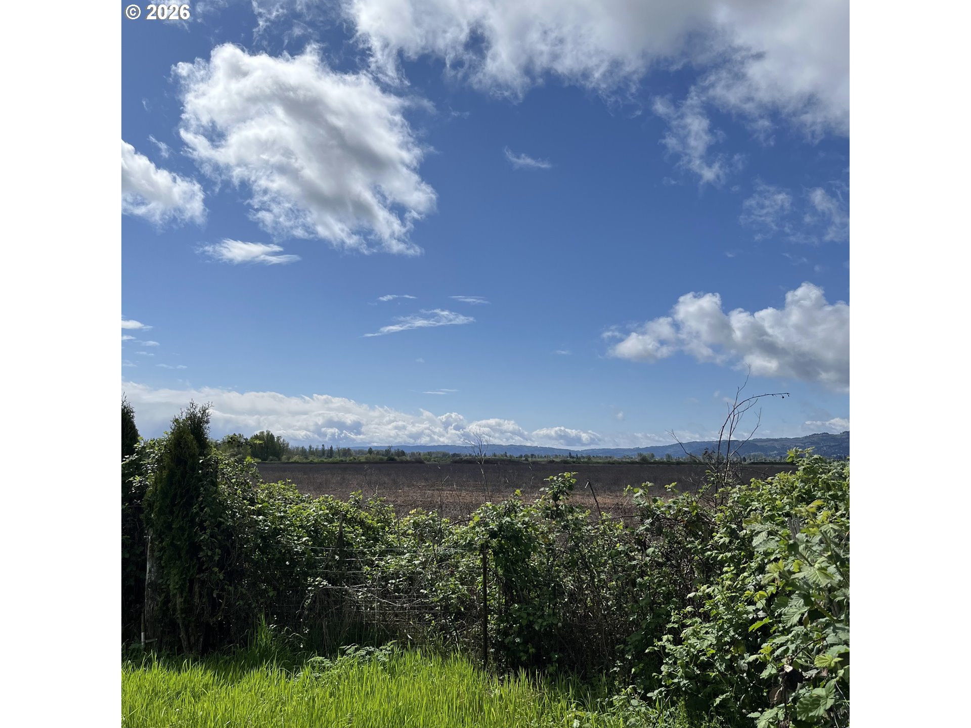 34900 Wendlandt Way, Unit F Scappoose, OR 97056 - Photo 19 of 19 a view of a lake