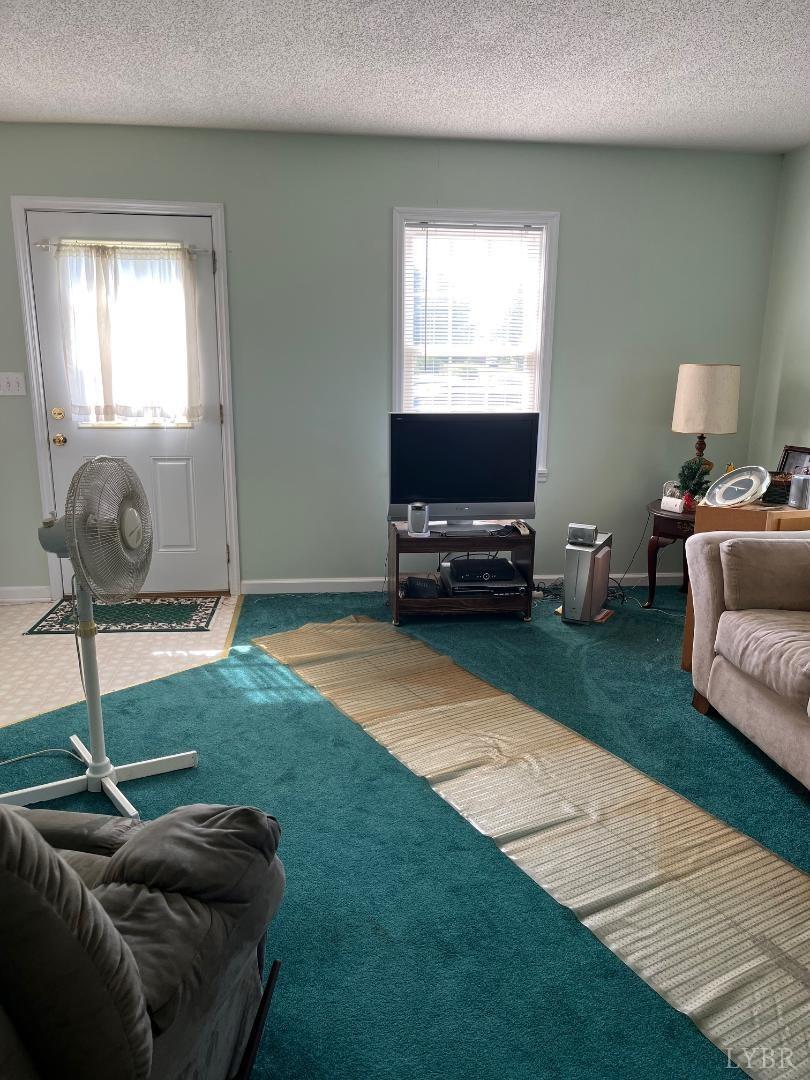 7084 Hunting Creek Road Clover, VA 24534 - Photo 2 of 10