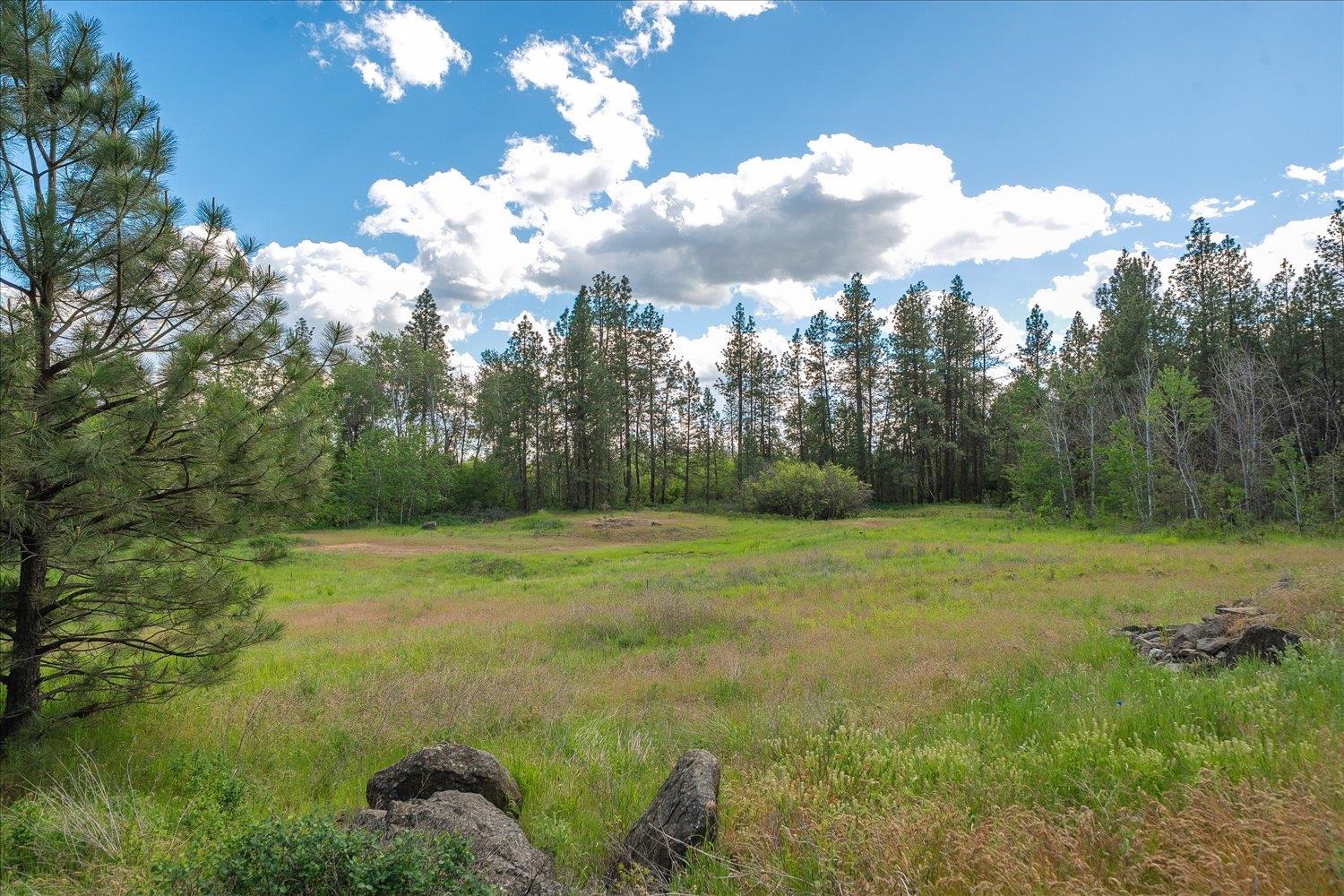 16303 Cheney Spokane Road Cheney, WA 99004 - Photo 7 of 50