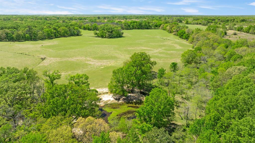 0 County Road 2356 Detroit, TX 75436 - Photo 12 of 27 a view of an outdoor space and a lake view