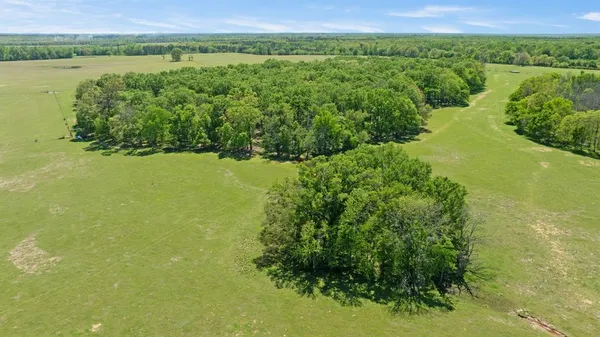 $1,300,000 | 0 County Road 2356, Detroit, TX 75436