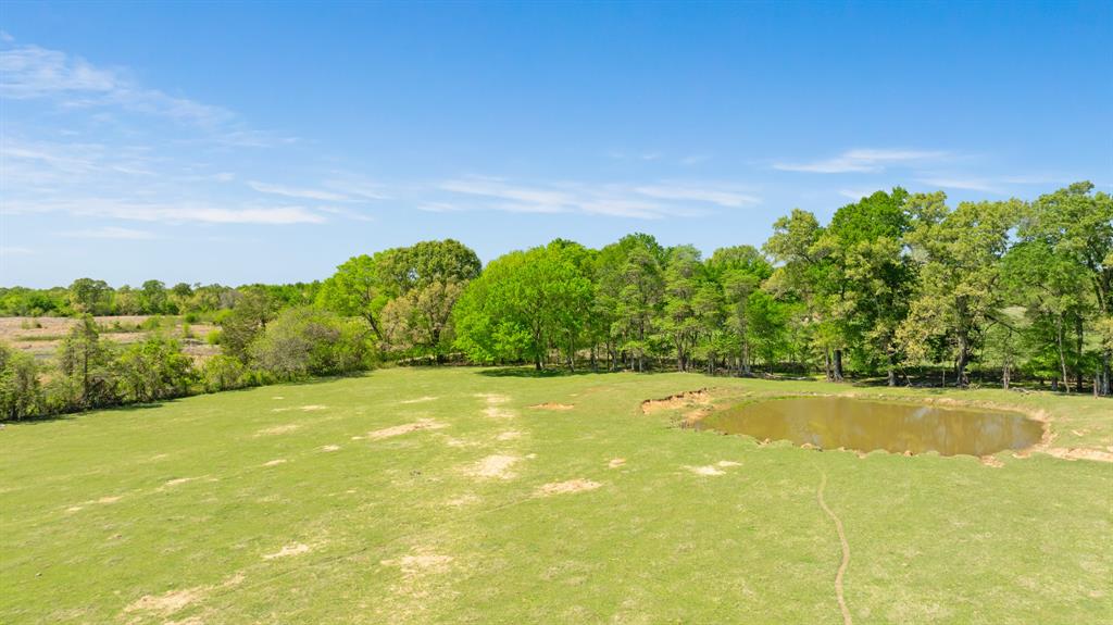 0 County Road 2356 Detroit, TX 75436 - Photo 19 of 27 a view of yard with swimming pool and green space