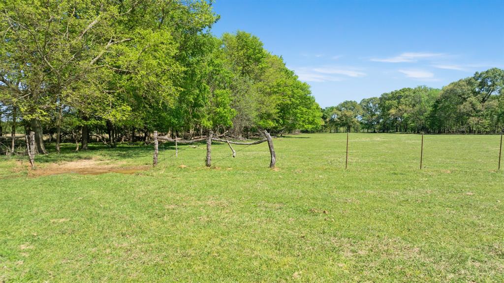 0 County Road 2356 Detroit, TX 75436 - Photo 20 of 27 a view of a park