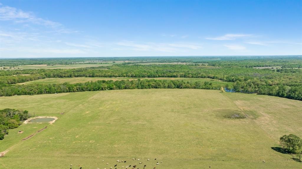 0 County Road 2356 Detroit, TX 75436 - Photo 2 of 27 a view of a city