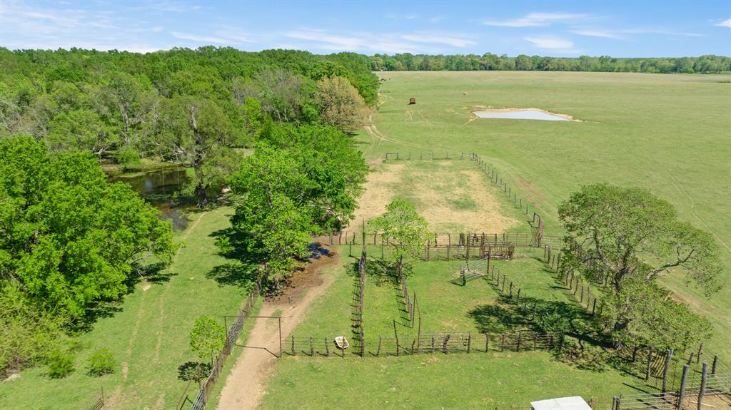 0 County Road 2356 Detroit, TX 75436 - Photo 23 of 27 a view of a lake with a yard