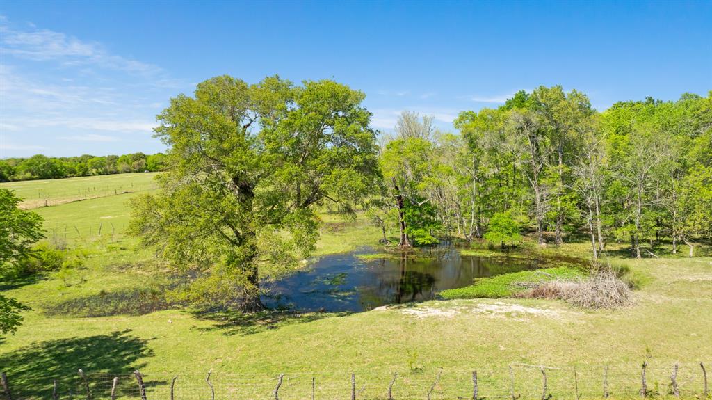 0 County Road 2356 Detroit, TX 75436 - Photo 24 of 27 a view of a lake with a big yard