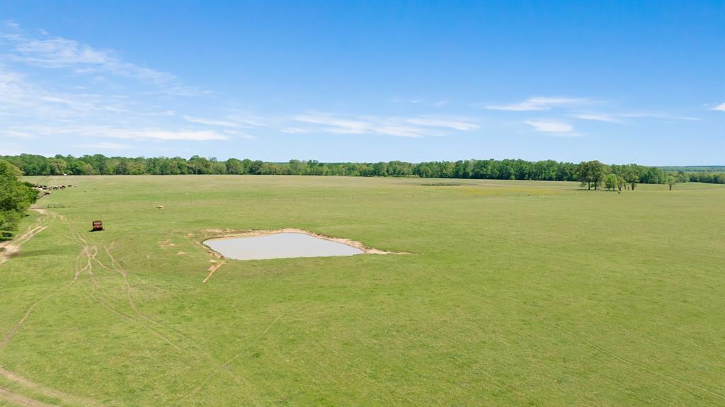 0 County Road 2356 Detroit, TX 75436 - Photo 25 of 27 a view of a lake with a city