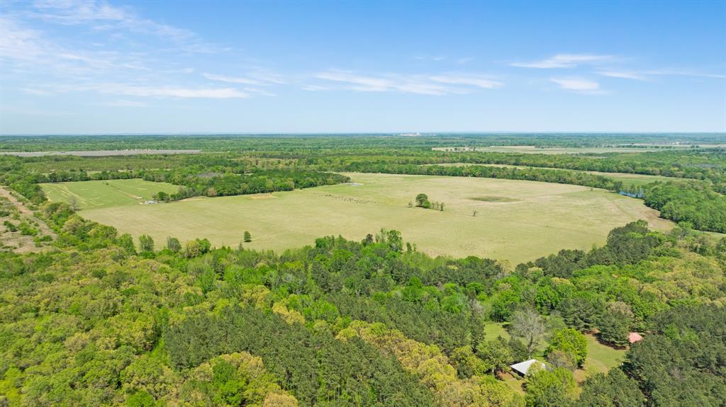 0 County Road 2356 Detroit, TX 75436 - Photo 5 of 27