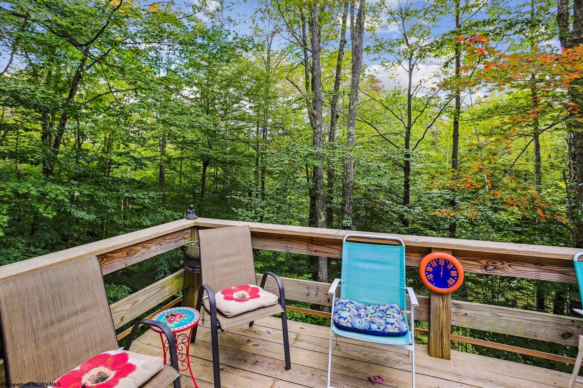 338 Mountainside Road Davis, WV 26260 - Photo 16 of 23 Gallery Image 16
