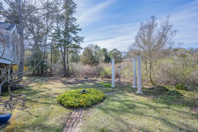 a view of a garden with a tree