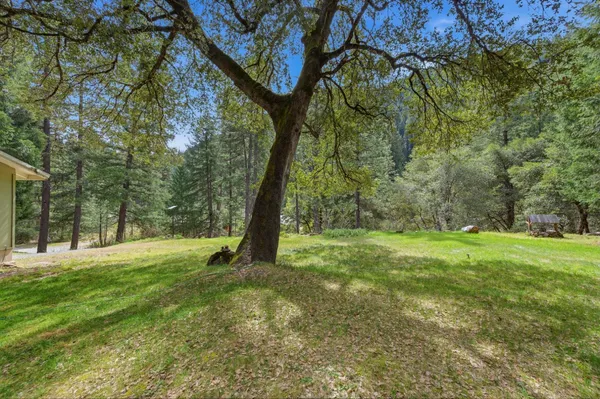 a backyard of a house with plants and large tree