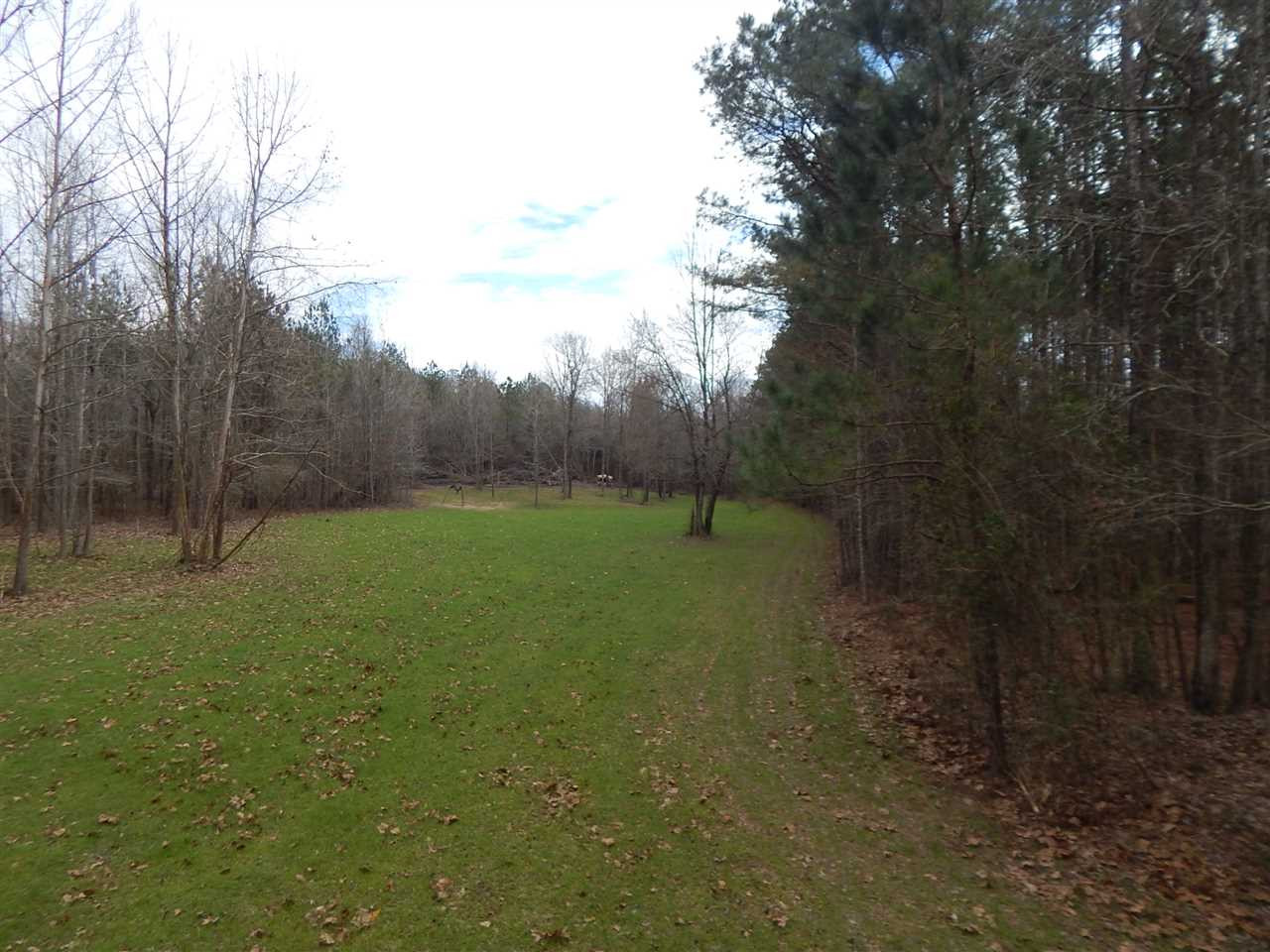 0 Swamp Road Pickens, MS 39146 - Photo 18 of 34 Photo 19