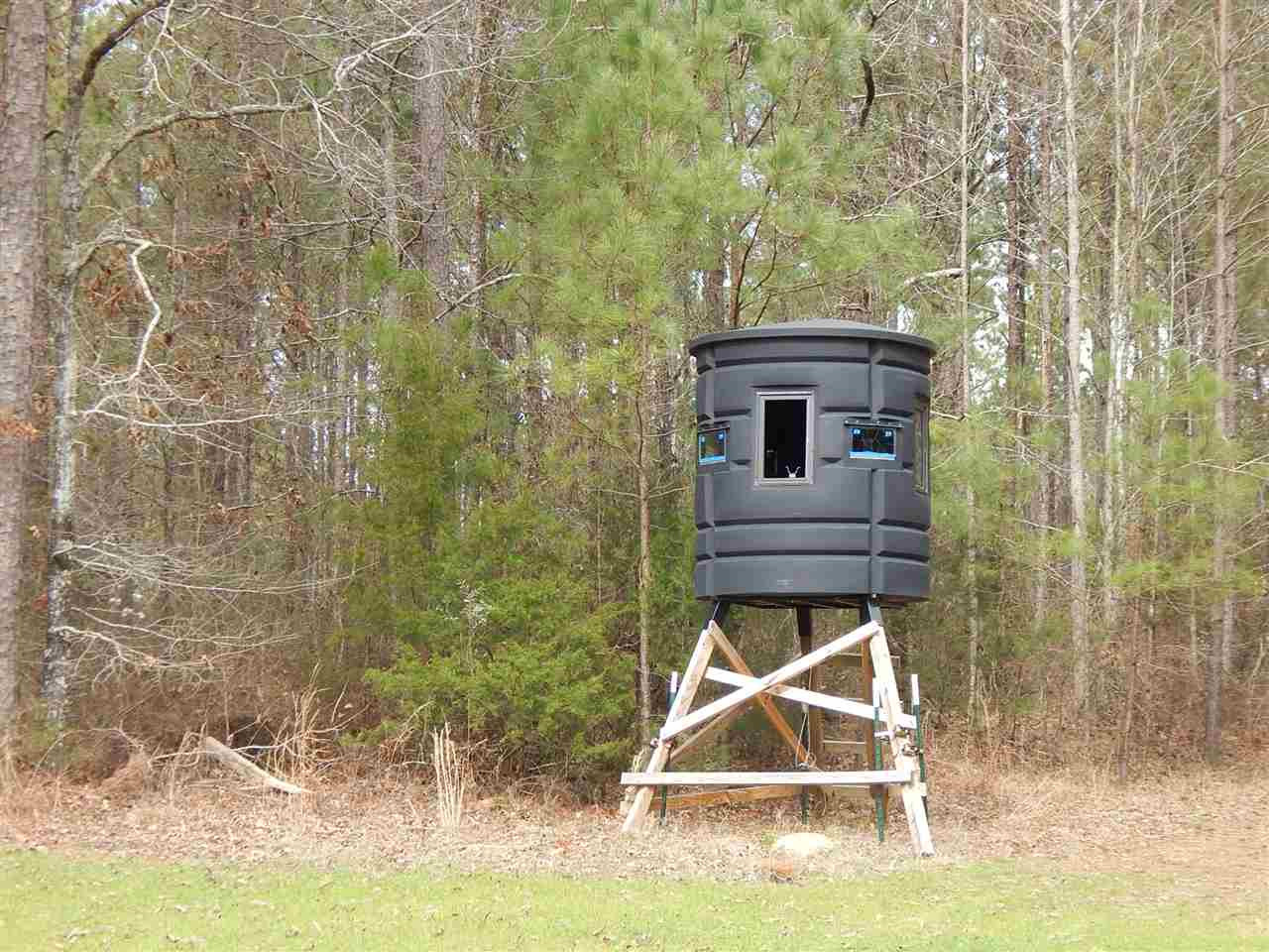 0 Swamp Road Pickens, MS 39146 - Photo 24 of 34 Photo 25