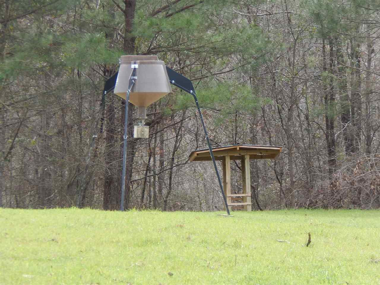 0 Swamp Road Pickens, MS 39146 - Photo 26 of 34 Photo 27