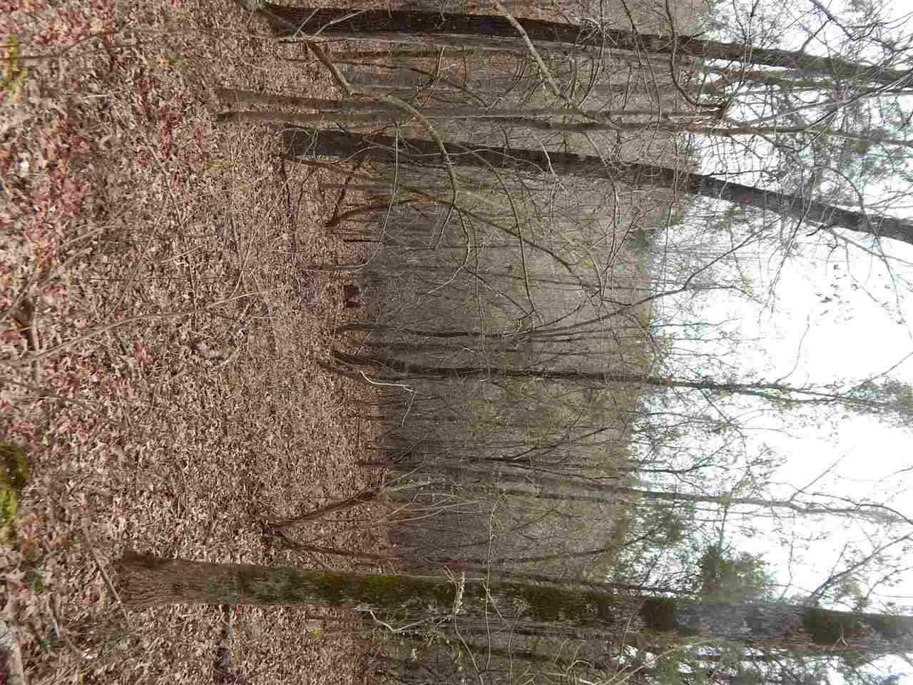0 Swamp Road Pickens, MS 39146 - Photo 28 of 34 Photo 29