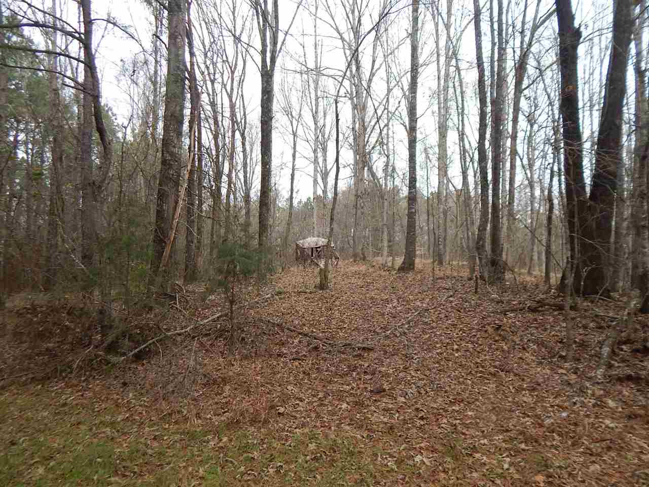 0 Swamp Road Pickens, MS 39146 - Photo 3 of 34 Photo 4