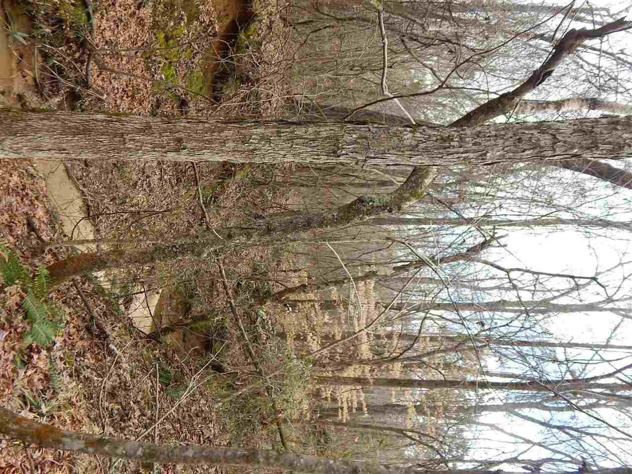 0 Swamp Road Pickens, MS 39146 - Photo 8 of 34 Photo 9