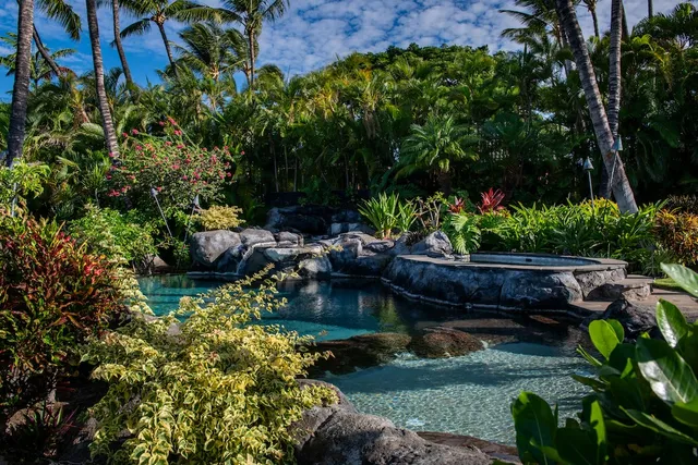 a garden with lots of trees and flowers