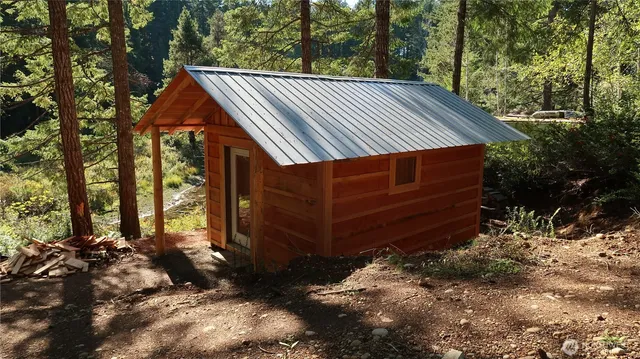 a view of a backyard with a large tree