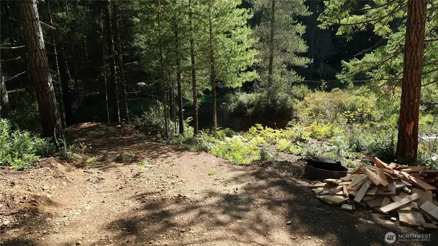 a view of a sink in a forest