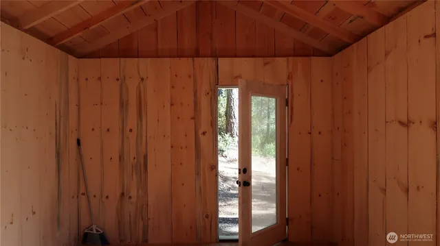 a close up of a tree