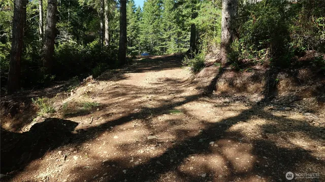 a view of outdoor space and trees