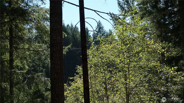 $79,500 | 10 Northeast Lakeview Place, Tahuya, WA 98588