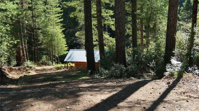 a view of backyard with green space