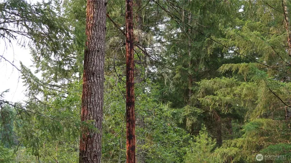 $79,500 | 10 Northeast Lakeview Place, Tahuya, WA 98588