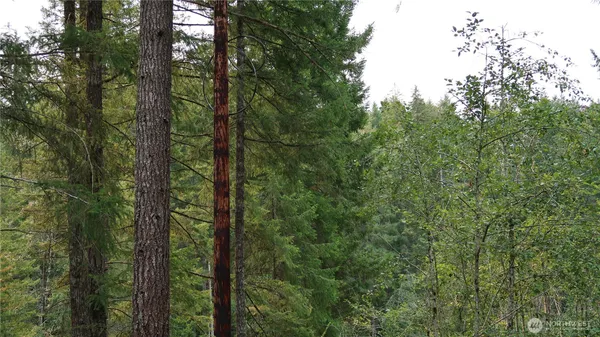 $79,500 | 10 Northeast Lakeview Place, Tahuya, WA 98588